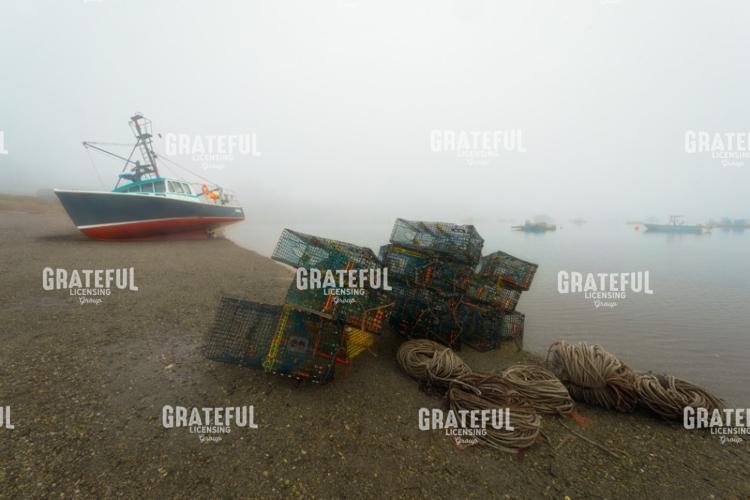 Fog in the Harbor