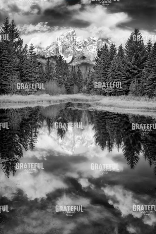 Shrouded Grandeur