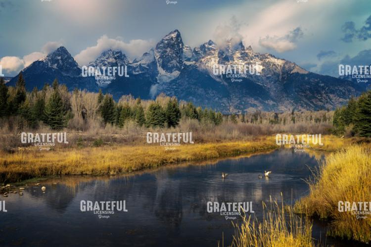 Teton Reverie