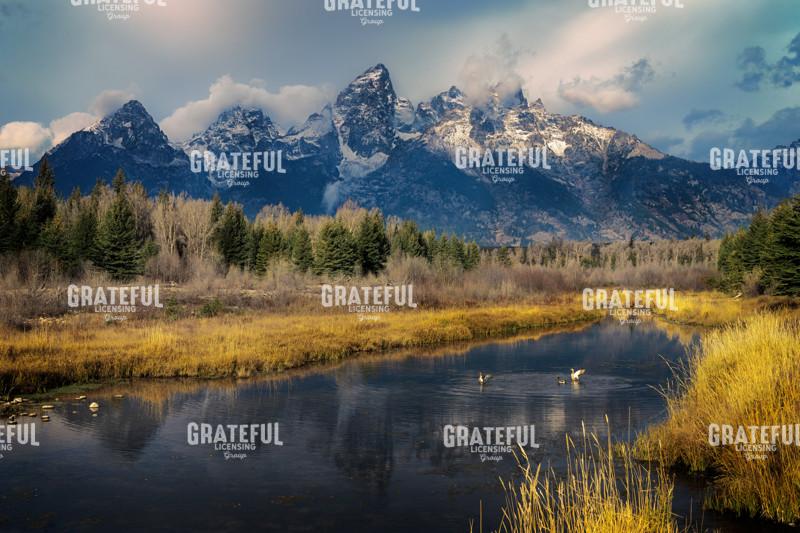 Teton Reverie