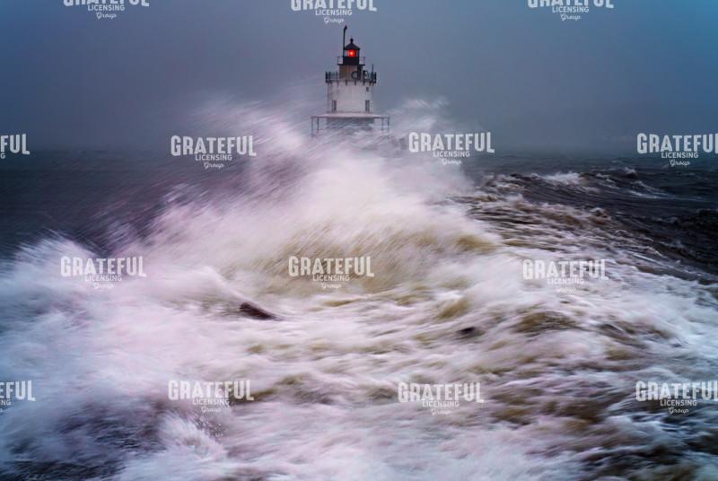 Fury at the Harbor Gates
