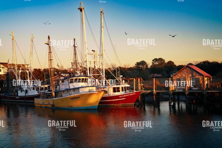 Shem Creek