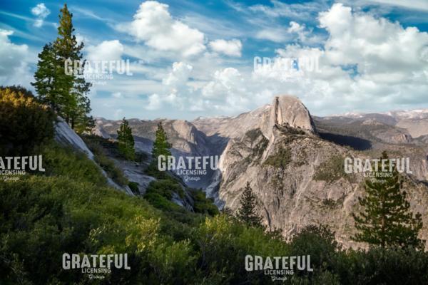 Majesty of Yosemite
