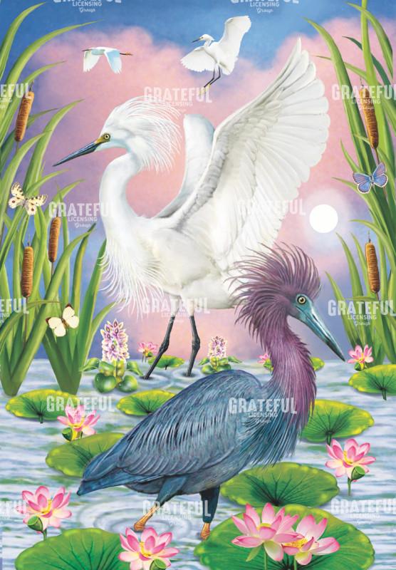 Little Blue And Snowy