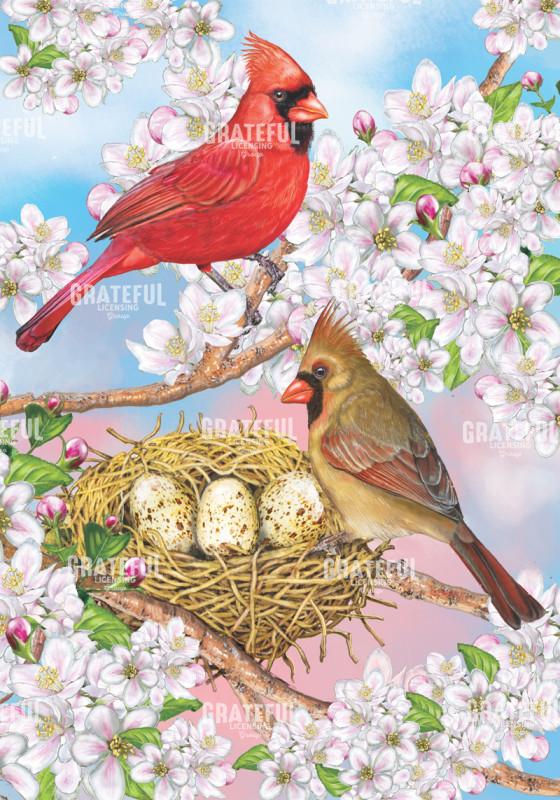 Cardinals In Springtime