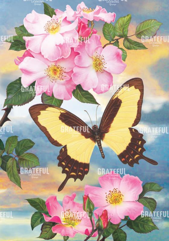 Garleps Swallowtail And Tea Roses