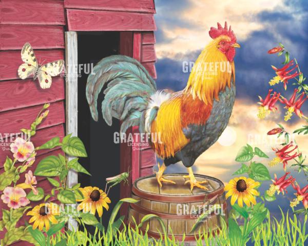 Barnyard Morning
