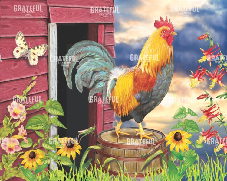 Barnyard Morning
