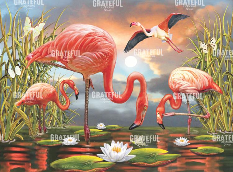 Flamingoes
