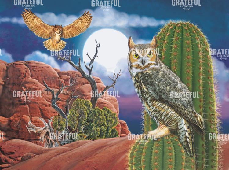 Great Horned Owl In Desert