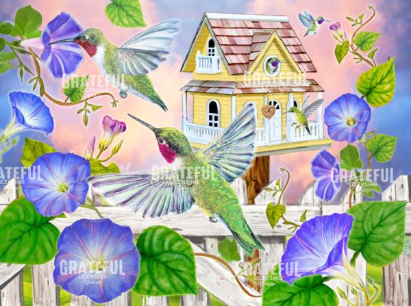 Hummingbird Haven