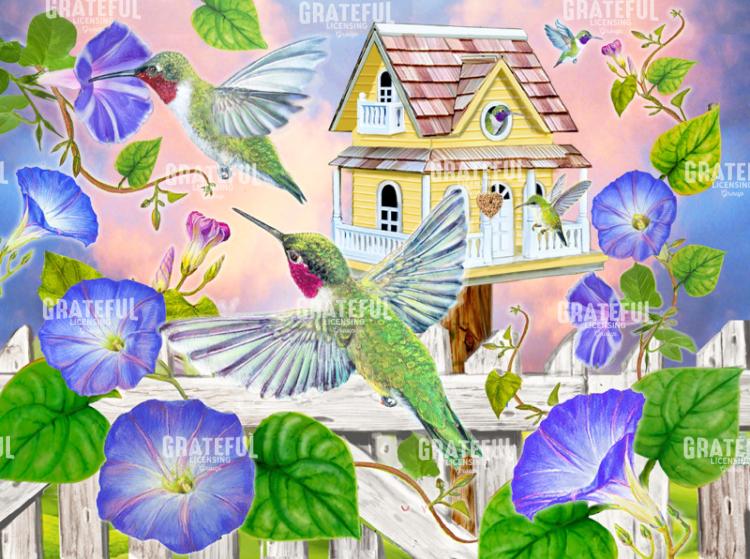 Hummingbird Haven