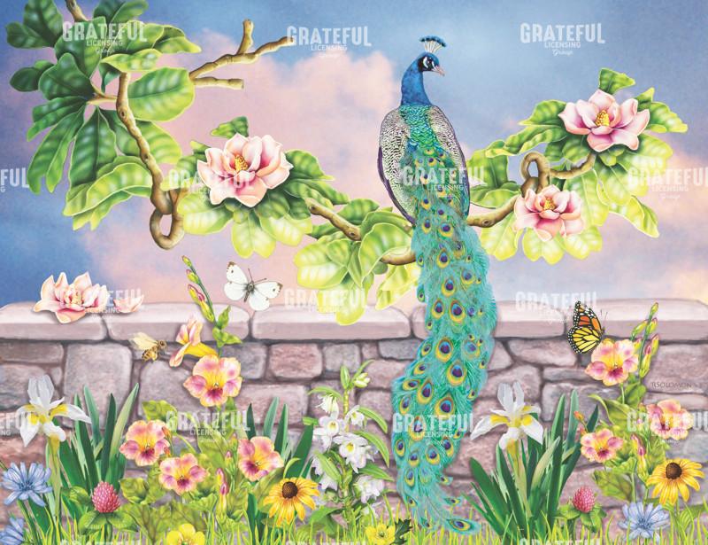 Peacock In Magnolia Tree