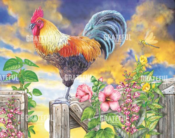 Rooster Crows Morning Sky