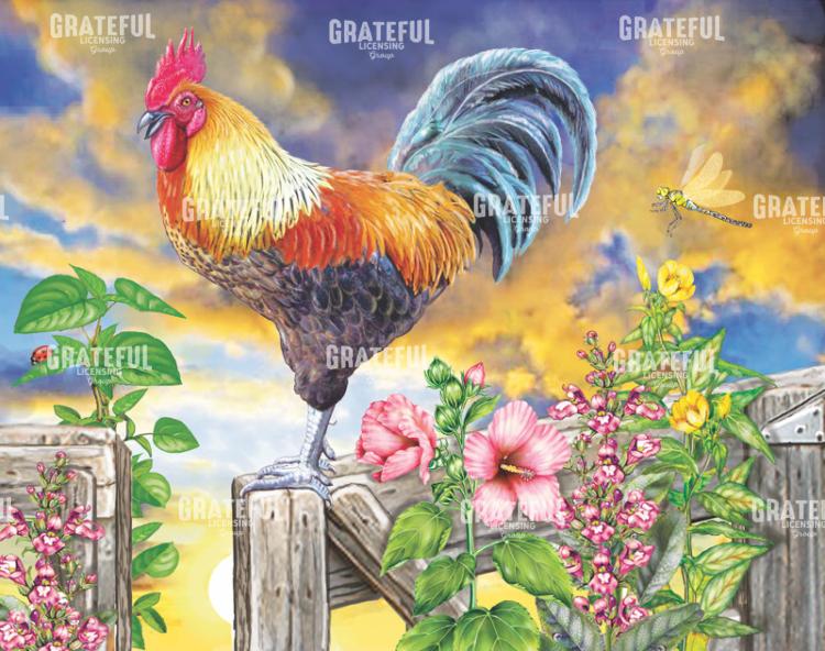 Rooster Crows Morning Sky