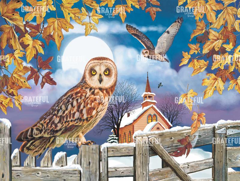 Short Eared Owl In the Churchyard