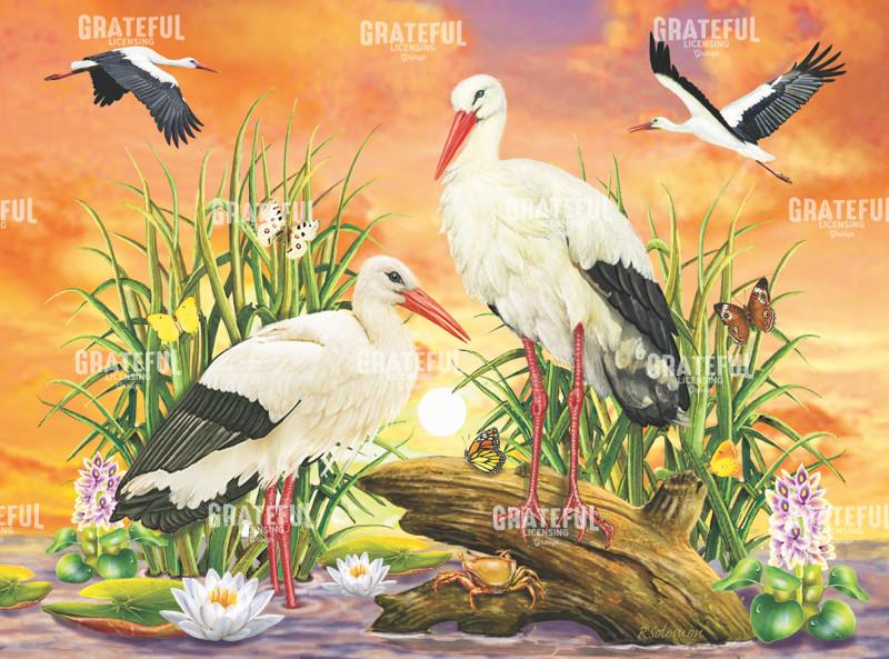 Storks