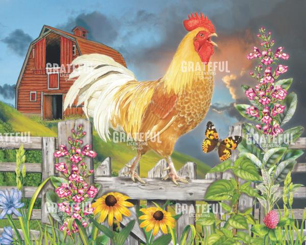 Yellow Rooster Greets The Day