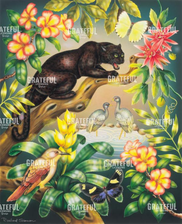 Black Jaguars Jungle