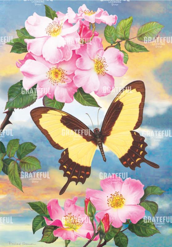 Garleps Swallowtail And Tea Roses