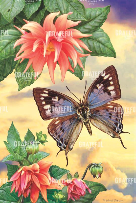 Dahlia And Bowkerstailed Blue