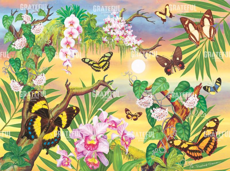 Rainforest Butterflies Up In The Canopy