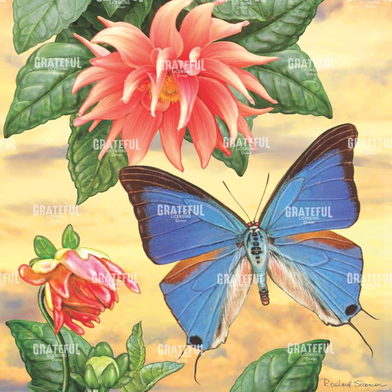 Dahlia And Blue Hairstreak Square