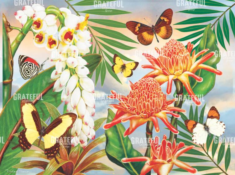 Rainforest Butterflies With Torch Ginger