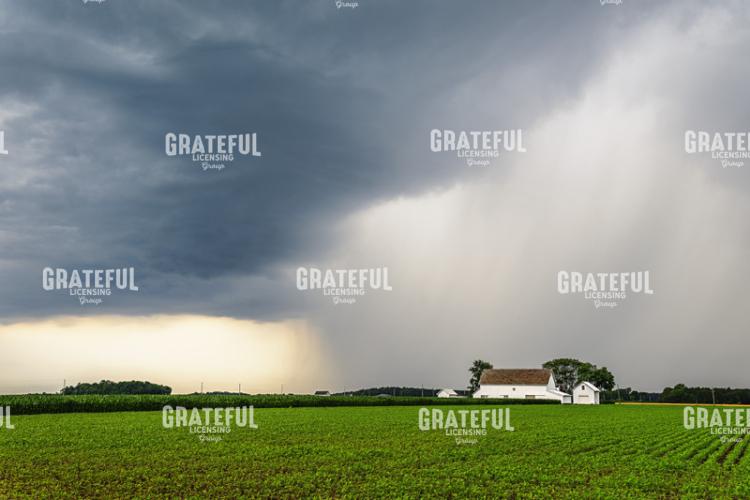 Farmland Symphony