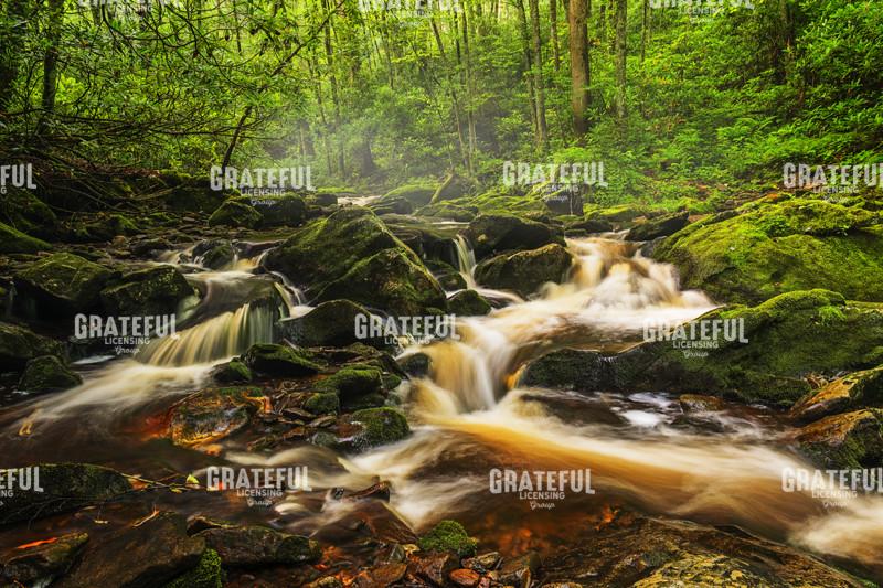 Nantahala River Headwaters