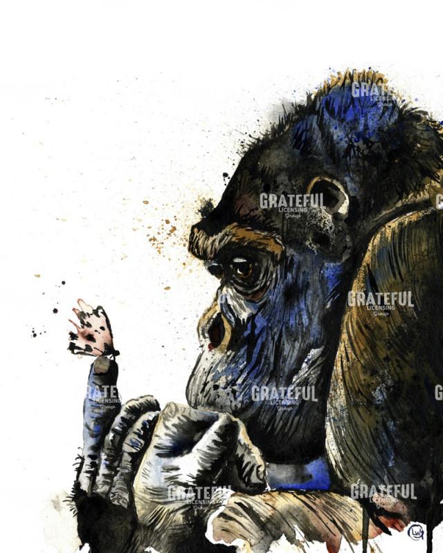 Gorilla and Butterfly