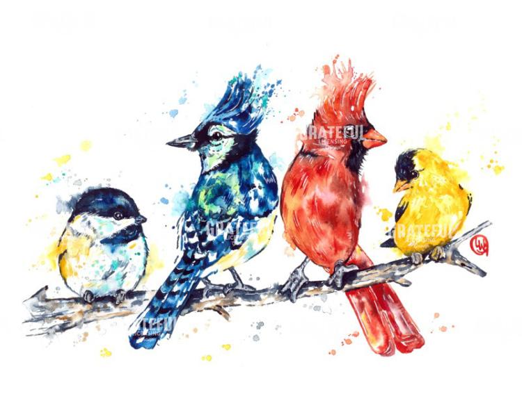 Birds of a Feather