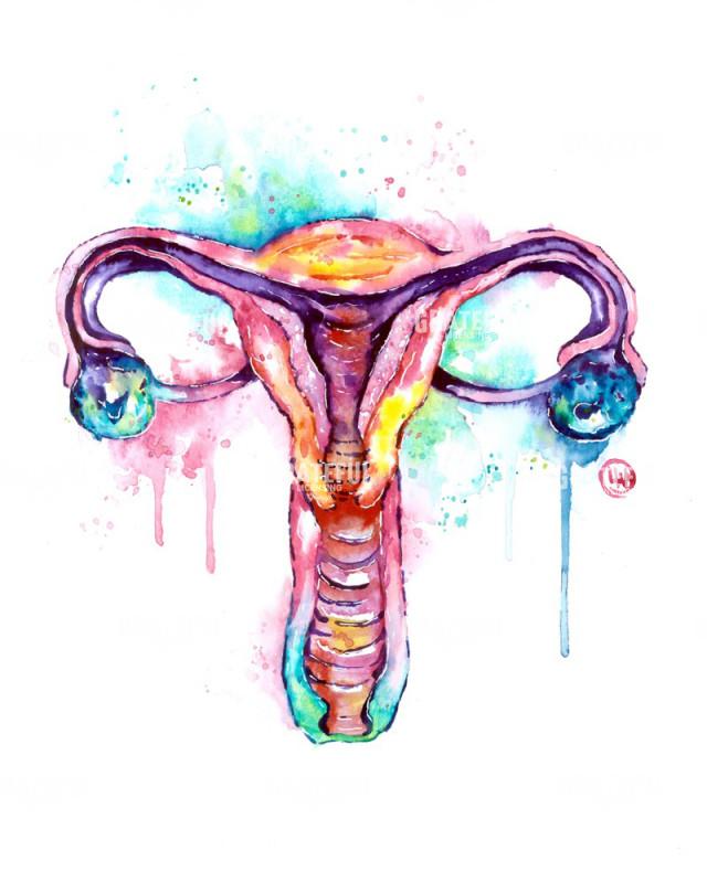 Uterus