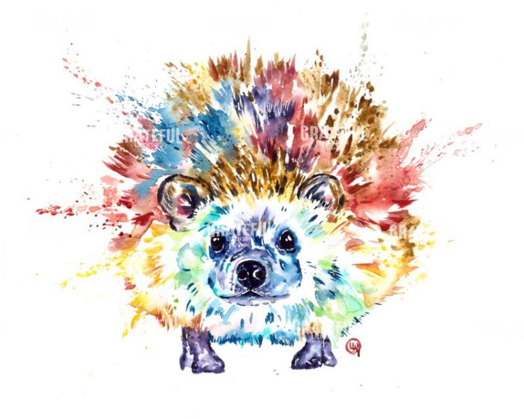 Hedgehog