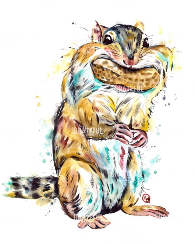 Chipmunk - Tiny Hoarder