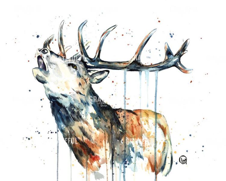 Elk Calling