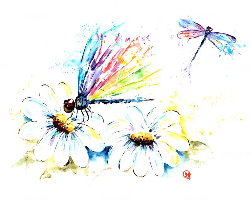 Dragonflies