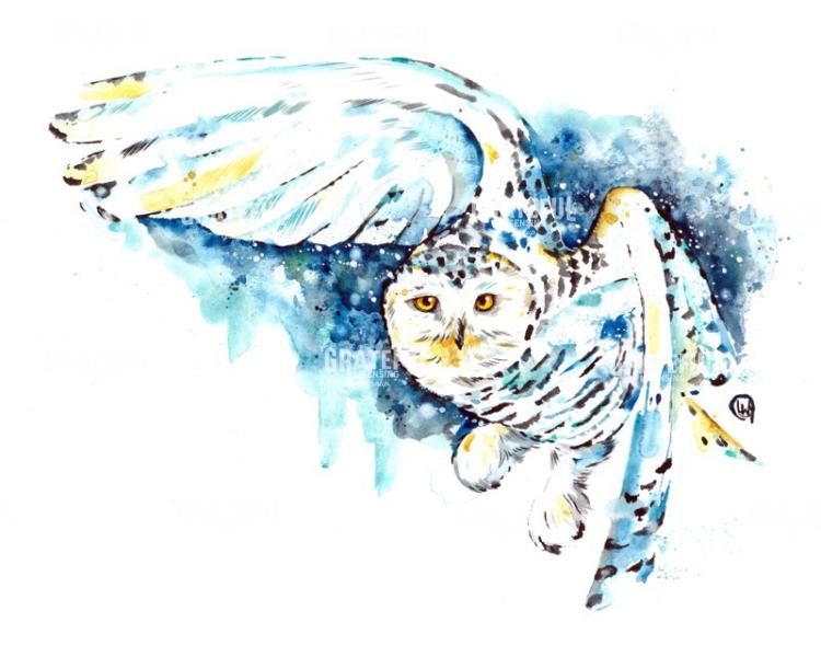 Snowy Owl