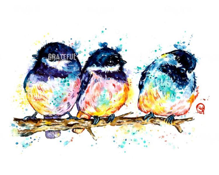 Chickadees