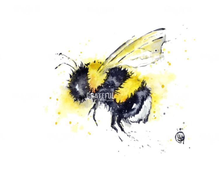 Buzz