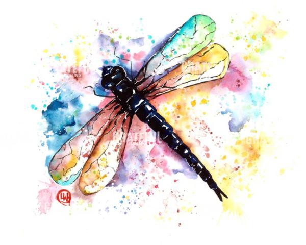 Dragonfly