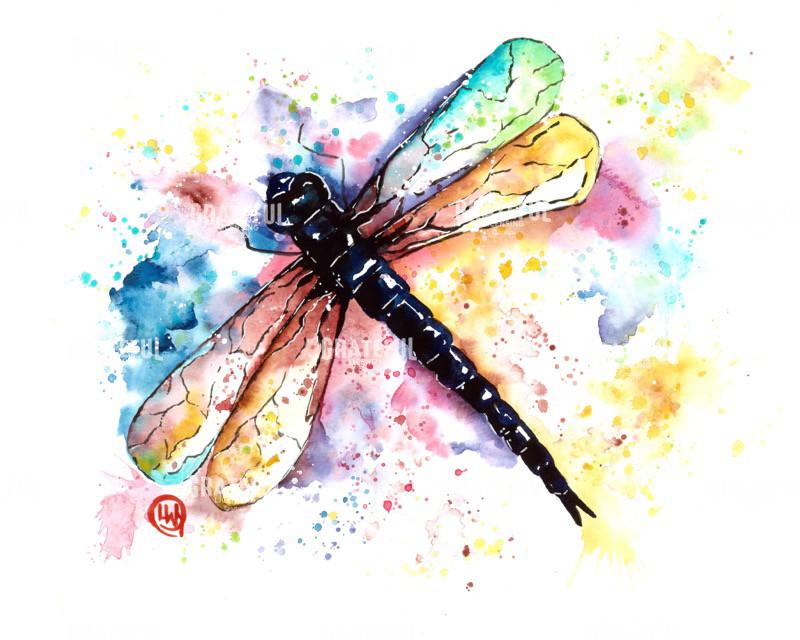 Dragonfly