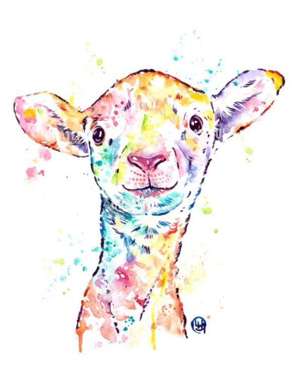 Lamb