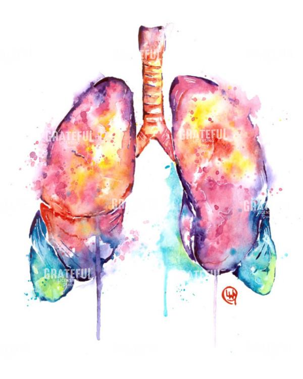 Lungs