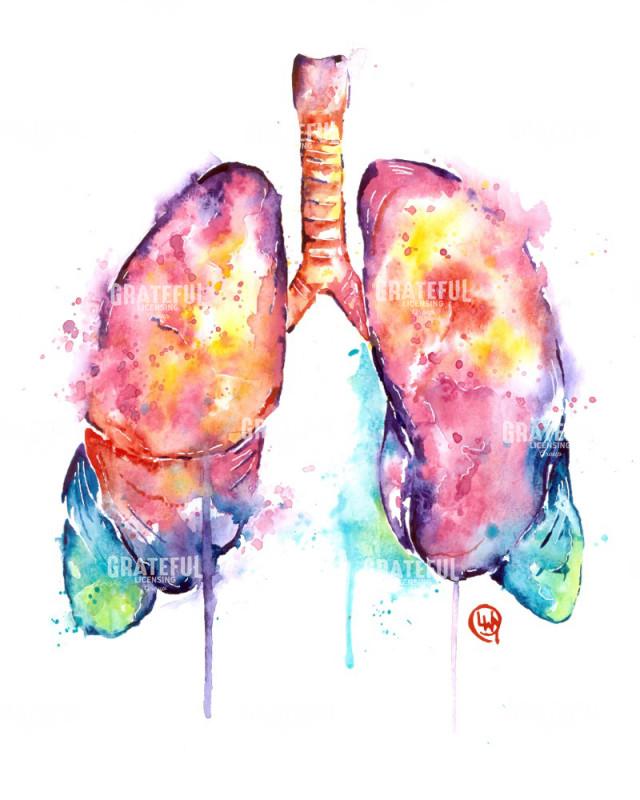 Lungs