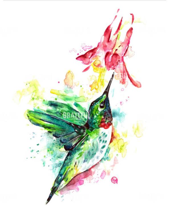 Seeking Spring