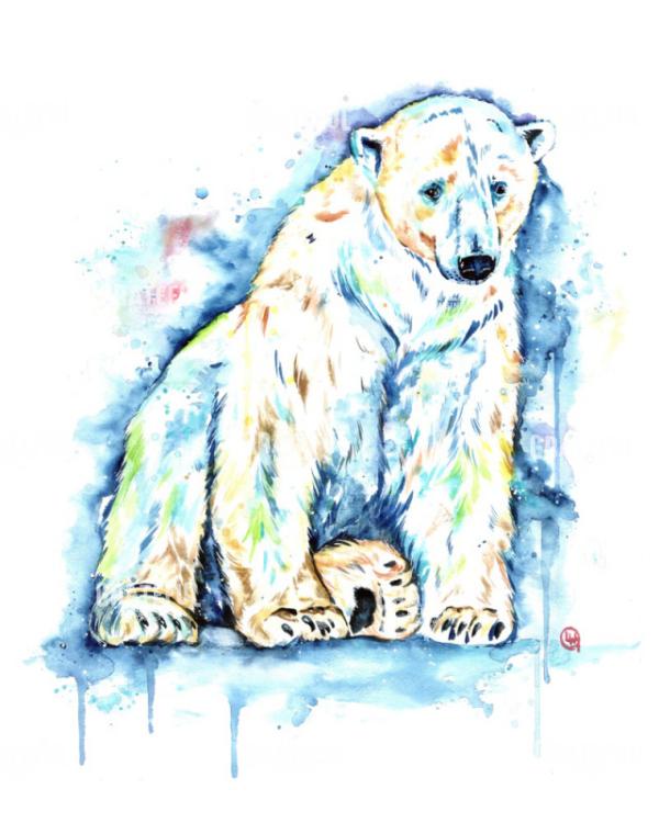 Polar Bear - Solitude