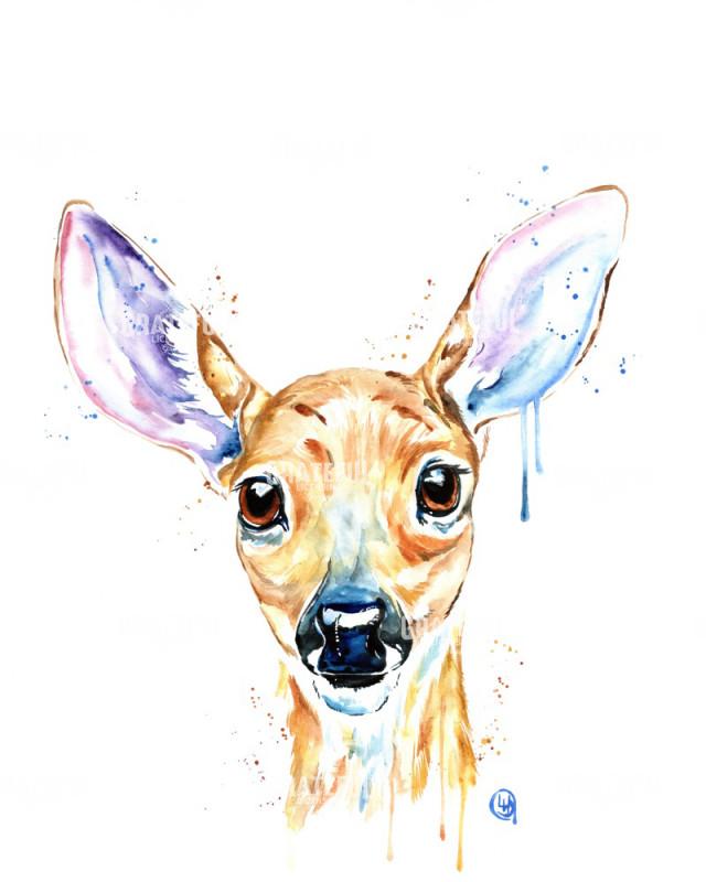 Deer