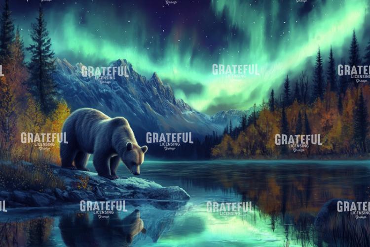 Bear Under The Lights
