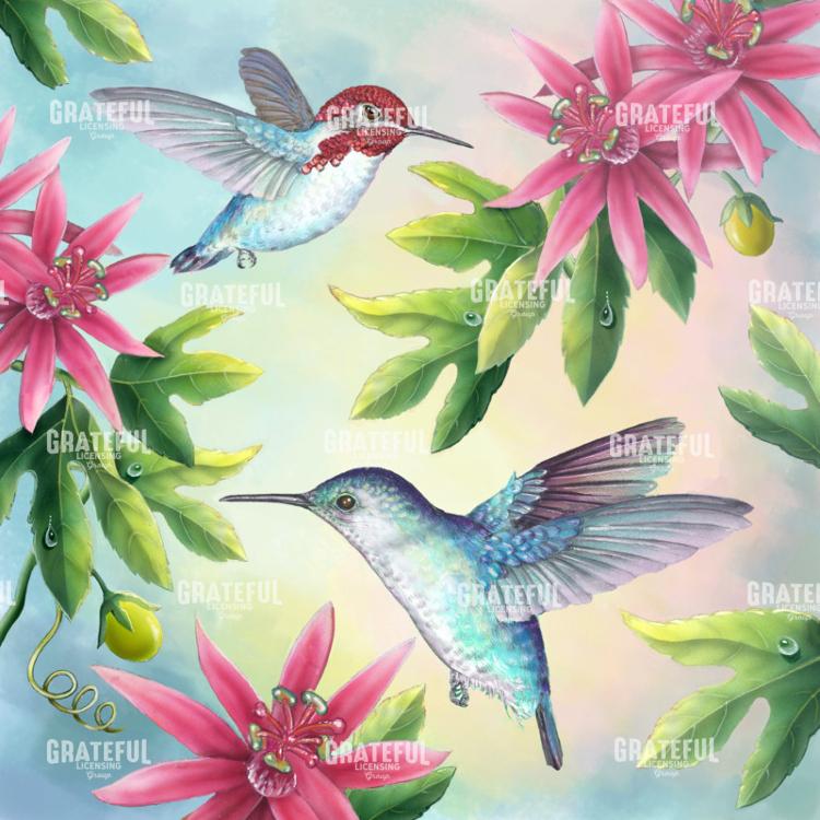 Bee Hummingbirds